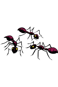 Ants